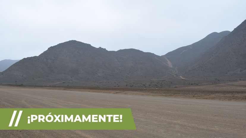 Próximamente Etapa 4 de Central Park